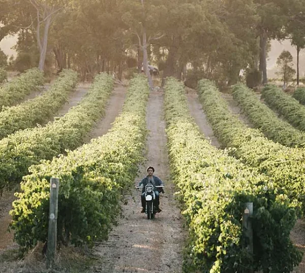 The Legend that is Larry Cherubino - 21st May 26